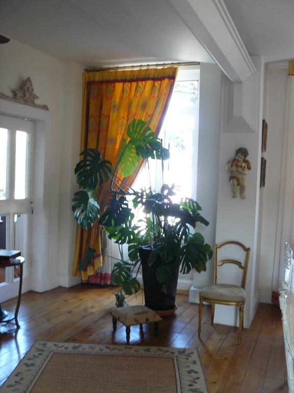 Chambres D'Hotes L'Albinque Castres  Bagian luar foto